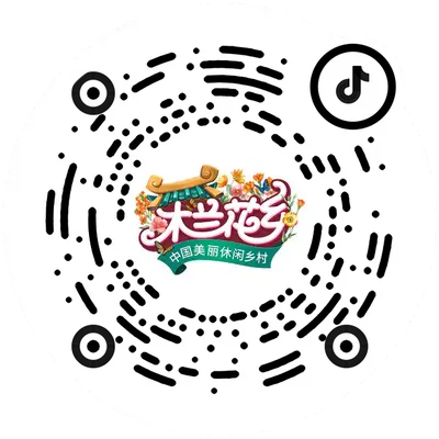 武汉烟花秀表演最新时间表+地点+门票信息（持续更新中）（2）