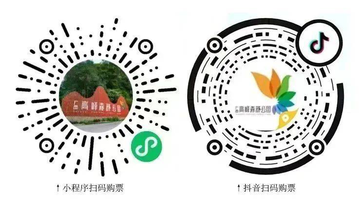 2025年广西高峰森林公园春节游玩攻略(开放时间+活动+门票)(2) 2025年广西高峰森林公园春节游玩攻略(开放时间+活动+门票)(2)