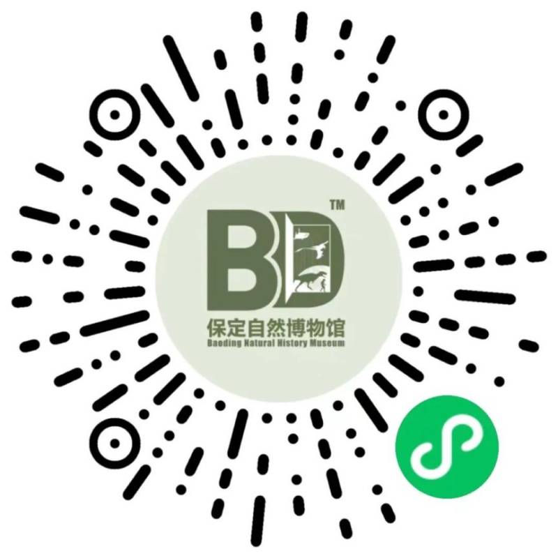 2025年保定自然博物馆预约攻略（时间+入口）