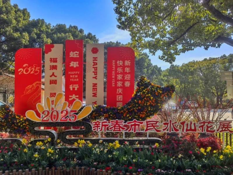 2025上海新春市民水仙花展(时间+地点+门票) 2025上海新春市民水仙花展(时间+地点+门票)