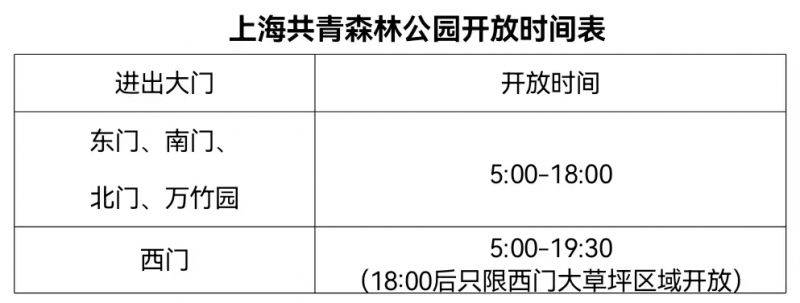2025上海新春市民水仙花展(时间+地点+门票)(3) 2025上海新春市民水仙花展(时间+地点+门票)(3)