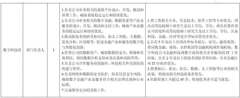 2025海南数金信息技术有限公司招聘（时间+入口+岗位）（2）