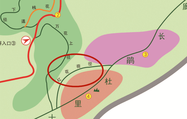 深圳梧桐山春节期间赏花攻略(有什么花+花期+开放时间+交通)（2）