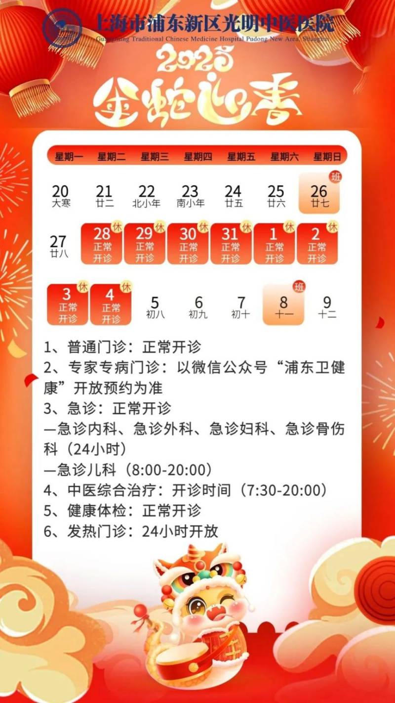 2025年春节期间 上海浦东各大医院门急诊安排(20) 2025年春节期间 上海浦东各大医院门急诊安排(20)