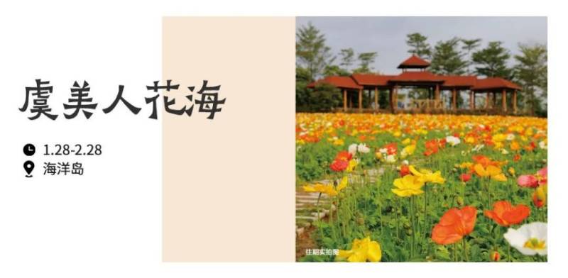 2025厦门元宵节花展攻略(时间+地点+预约+路线) 2025厦门元宵节花展攻略(时间+地点+预约+路线)
