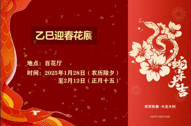 2025厦门元宵节花展攻略(时间+地点+预约+路线)(5) 2025厦门元宵节花展攻略(时间+地点+预约+路线)(5)