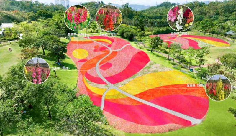 2025厦门元宵节花展攻略(时间+地点+预约+路线)(4) 2025厦门元宵节花展攻略(时间+地点+预约+路线)(4)