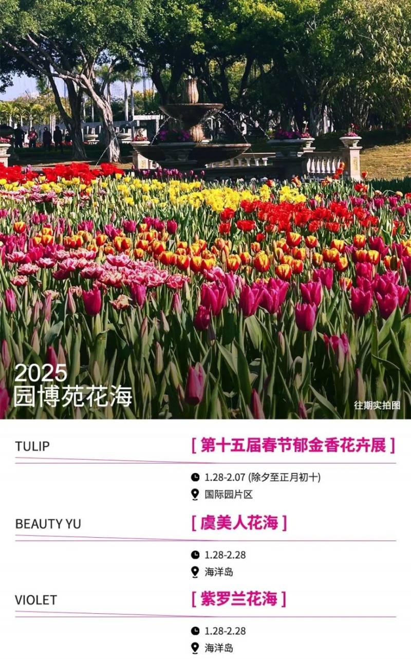 厦门园博苑春节花展时间一览表