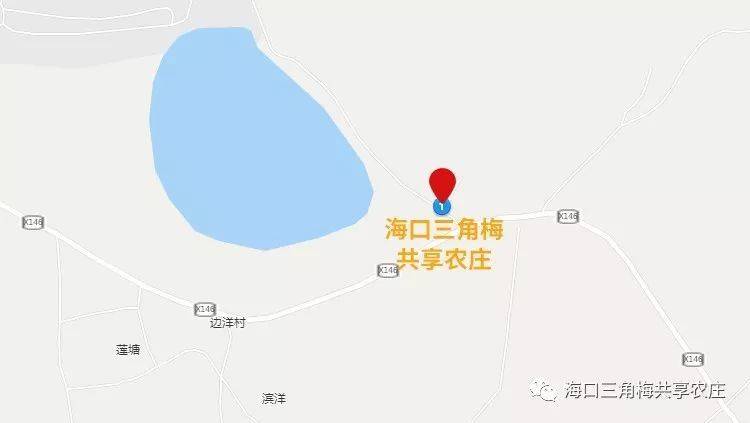 2025海口三角梅花展(时间+地点+购票) 2025海口三角梅花展(时间+地点+购票)