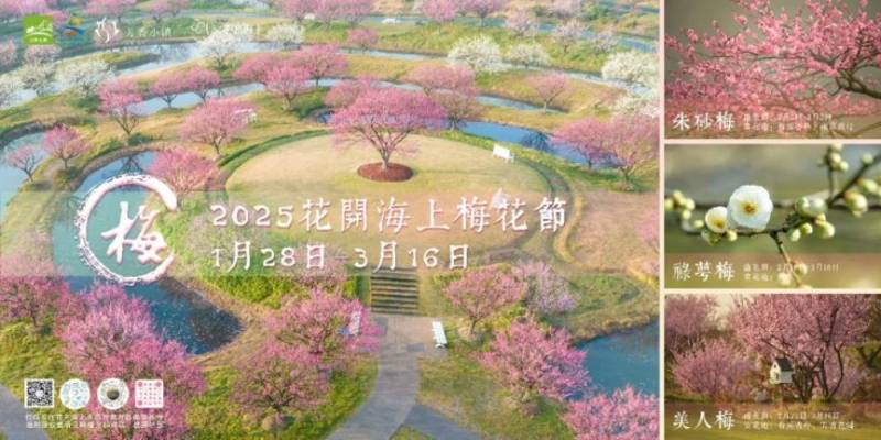 2025上海第八届梅花节攻略(时间+地点+门票) 2025上海第八届梅花节攻略(时间+地点+门票)