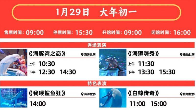 2025大连圣亚海洋世界春节表演时间表（3）