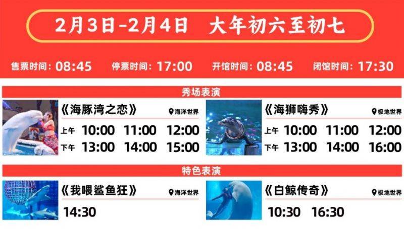 2025大连圣亚海洋世界春节表演时间表（5）