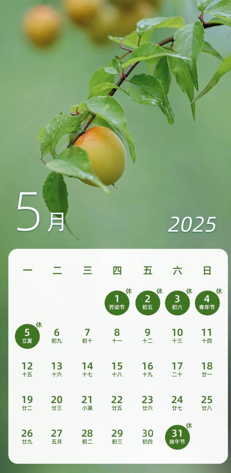 2025放假调休日历表(春节五一国庆)(5) 2025放假调休日历表(春节五一国庆)(5)