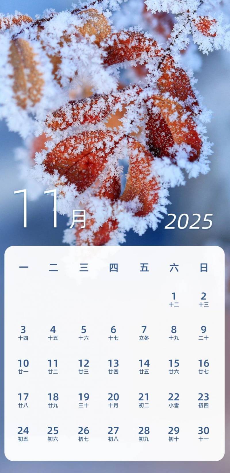 2025放假调休日历表(春节五一国庆)(11) 2025放假调休日历表(春节五一国庆)(11)