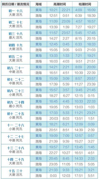 2025大连赶海潮汐时间表 2025大连赶海潮汐时间表