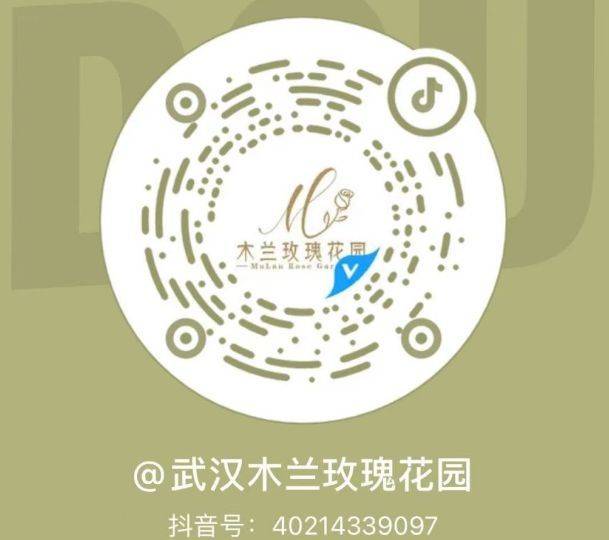 2025武汉元宵节活动有哪些？（地点/门票/时间）