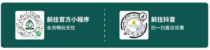 2025东莞元宵烟花汇演活动（持续更新）