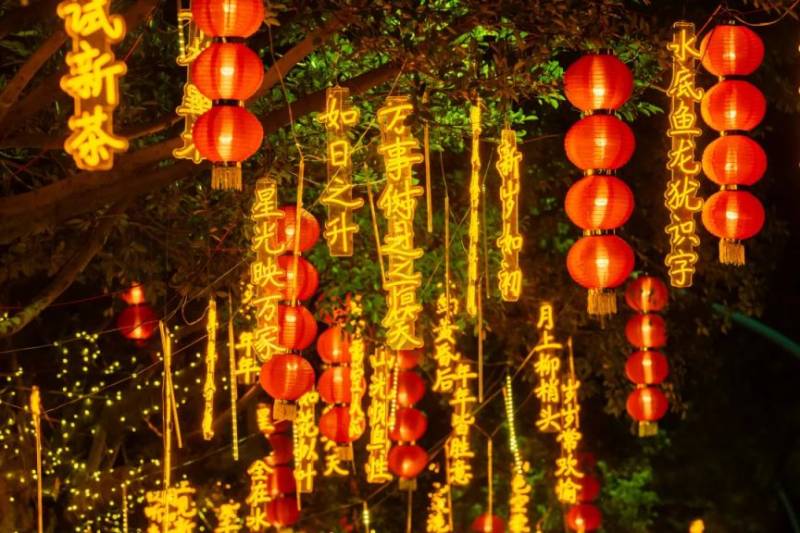 2025厦门元宵节灯会活动汇总（时间＋地点＋门票）（3）