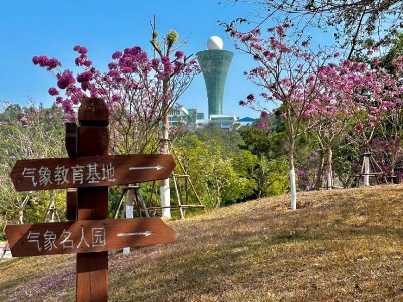 厦门健康步道赏花指南(时间+地点+品种)(2) 厦门健康步道赏花指南(时间+地点+品种)(2)