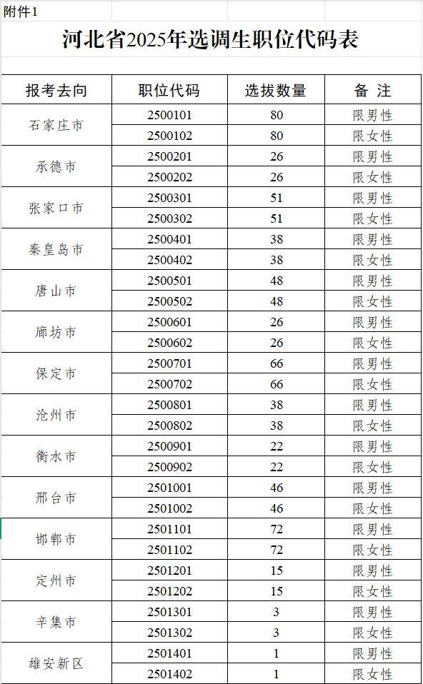 2025河北选调生职位代码表