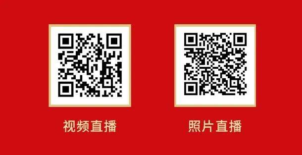 2025禅城张槎龙狮巡游活动攻略（附时间+路线）（5）