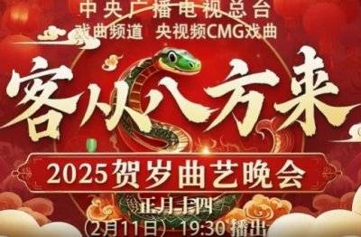 2025各大卫视元宵晚会直播时间+阵容+节目单（5）