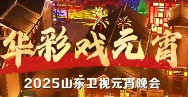 2025各大卫视元宵晚会直播时间+阵容+节目单（4）