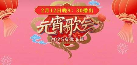 2025各大卫视元宵晚会直播时间+阵容+节目单（3）