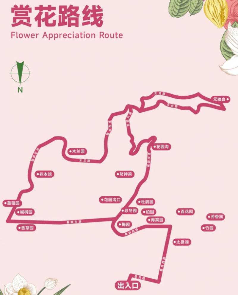 2025西安秦岭国家植物园全年赏花时间表（2）