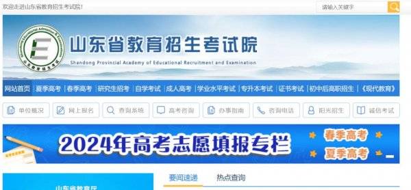 山东省教育招生考试院官方网站（https://www.sdzk.cn)