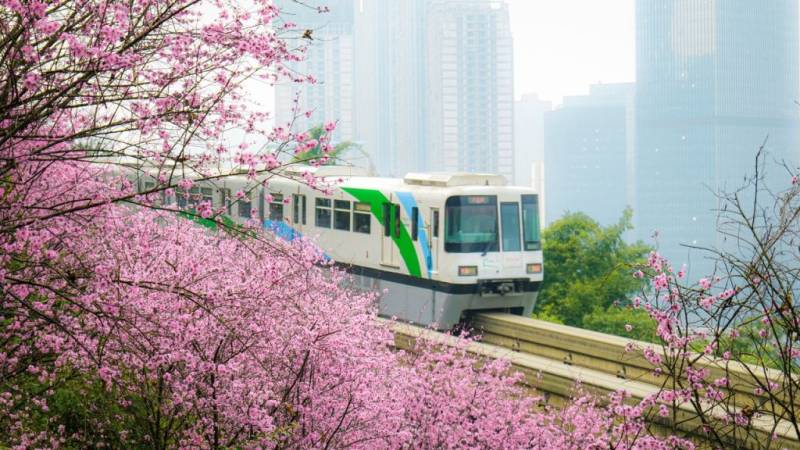 2025重庆开往春天的列车几月份最佳时间