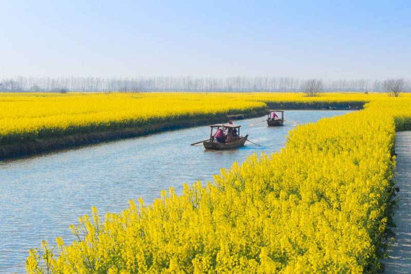 兴化千垛景区油菜花游玩攻略（时间+门票+交通指南）