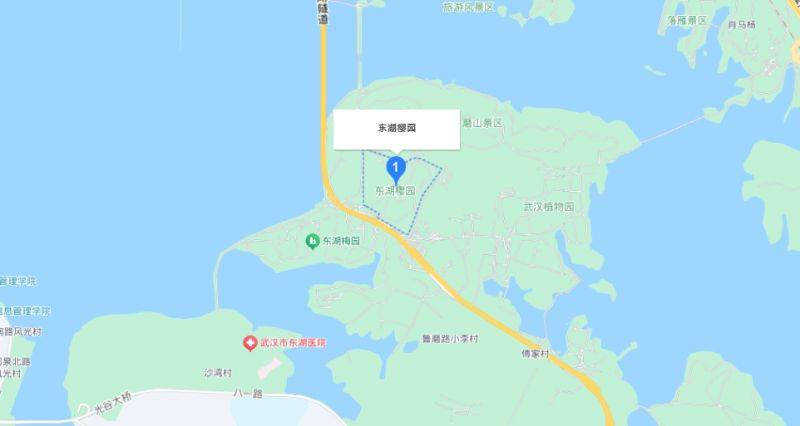武汉东湖樱花园赏樱花攻略（时间+门票+交通）