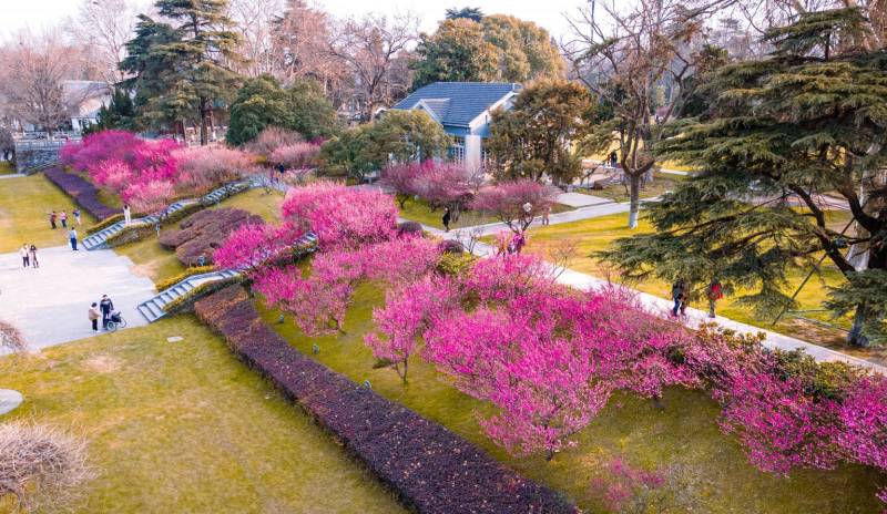 2025南京玄武湖百花闹春游园会赏花时间+活动安排