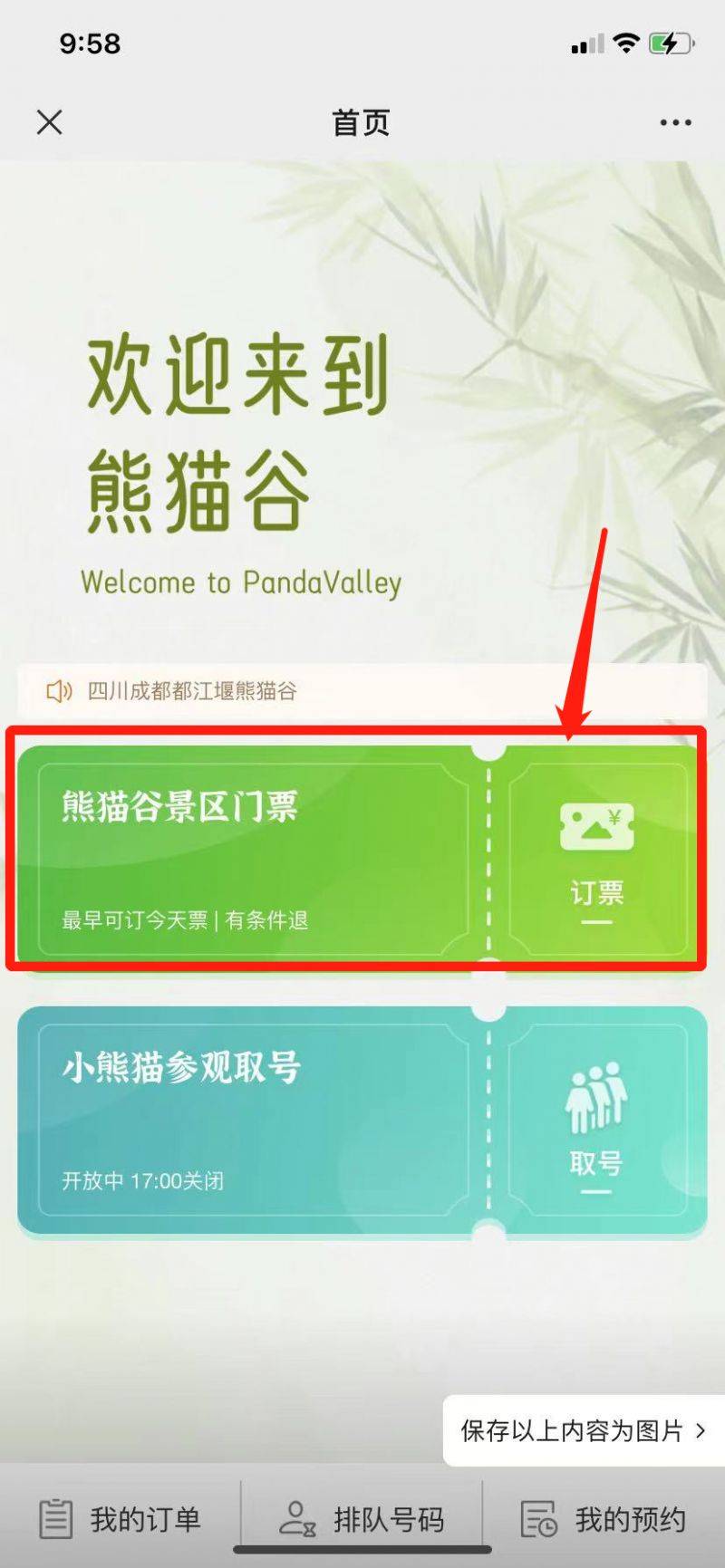 2024都江堰熊猫谷门票官网预订指南（时间+价格+证件）（3）