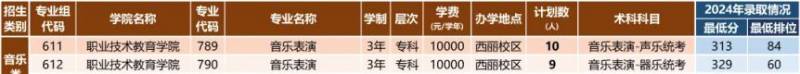 2025深圳职业技术大学依学考成绩录取招生计划（2）