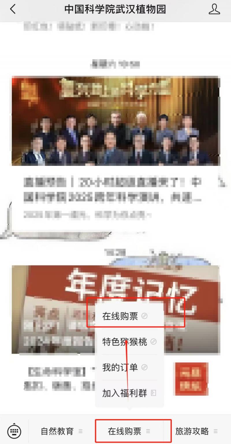 2025武汉植物园郁金香赏花攻略（时间+地点+门票价格）（3）