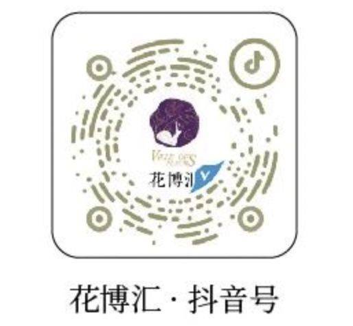 武汉花博汇郁金香观赏时间+观赏地点+购票入口（2）