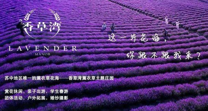 泰州香草湾薰衣草庄园游玩攻略（开放时间+门票价格）