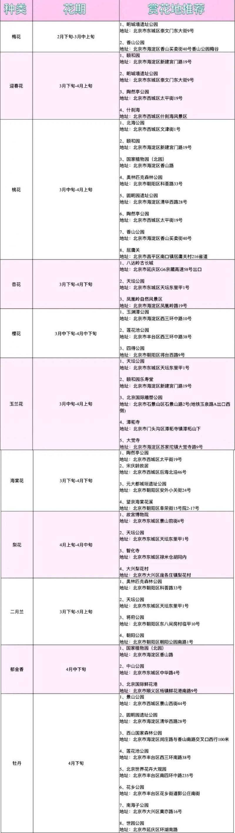 2025北京赏花时间预报（持续更新中）（2）