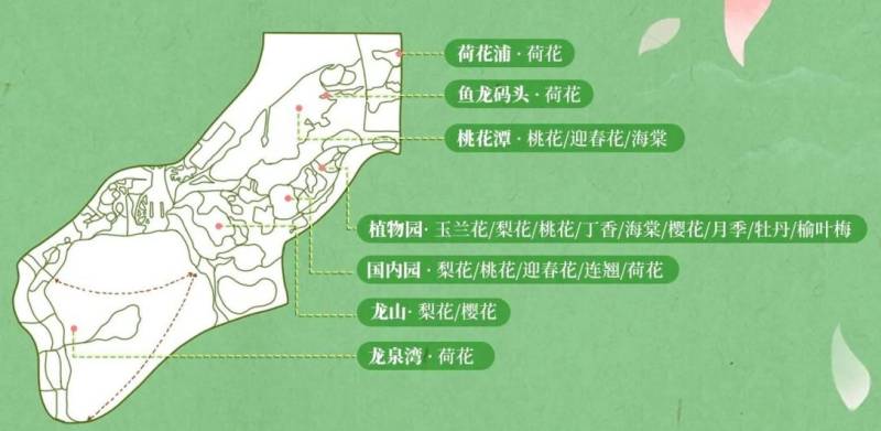 2025唐山南湖开滦旅游景区赏花攻略（时间+地点）
