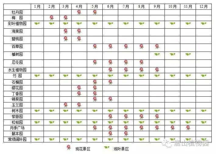2025唐山玉兰花去哪赏？