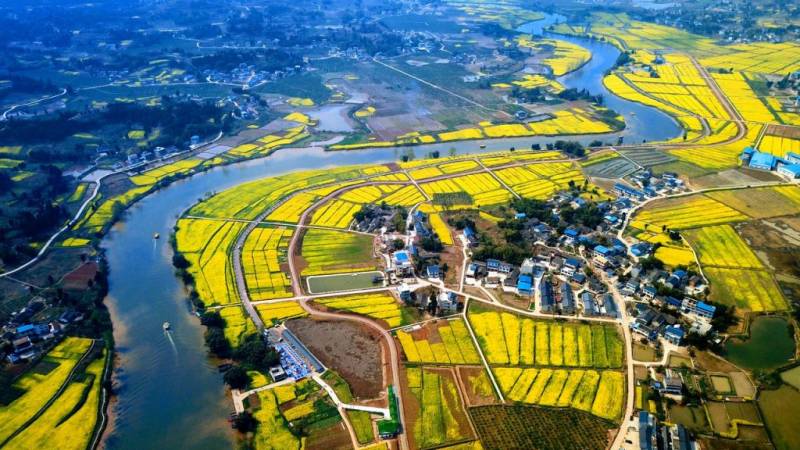 2025年潼南油菜花节攻略(时间+门票+线路+怎么去)（3）