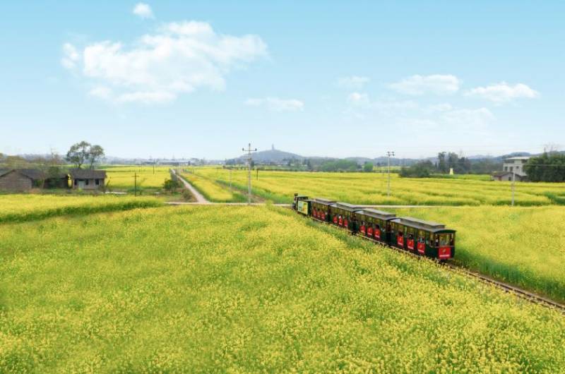 2025重庆潼南油菜花节全攻略（时间+门票+吃喝玩乐路线）（2）