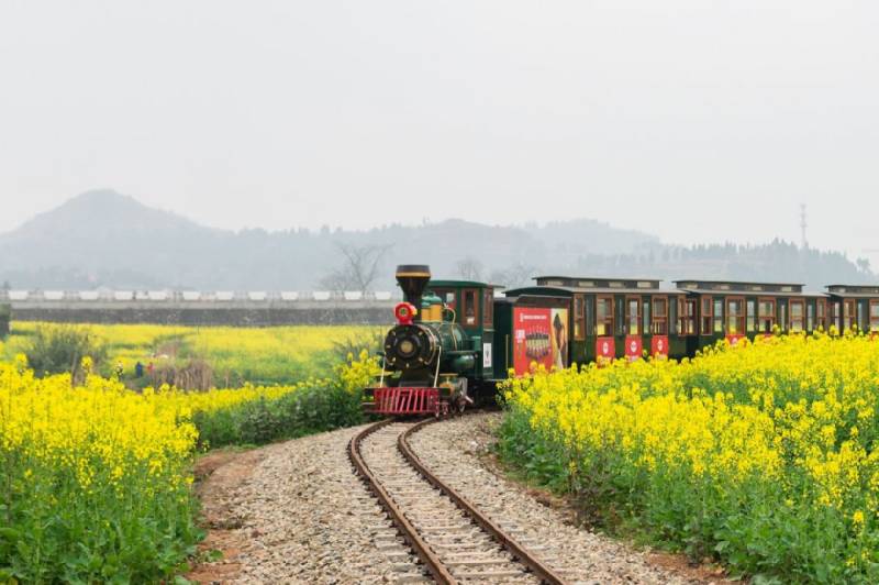 2025重庆潼南油菜花节活动攻略(时间、门票、交通)(3) 2025重庆潼南油菜花节活动攻略(时间、门票、交通)(3)