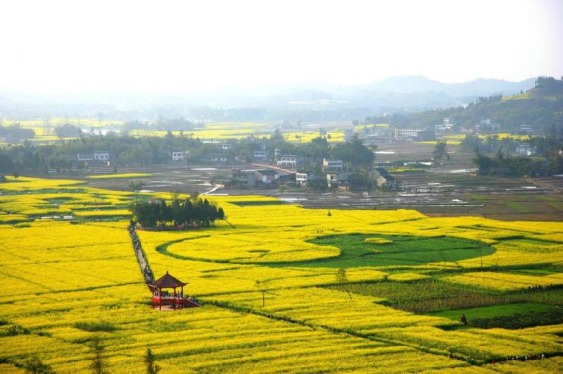 2025重庆潼南油菜花节活动攻略(时间、门票、交通)(2) 2025重庆潼南油菜花节活动攻略(时间、门票、交通)(2)