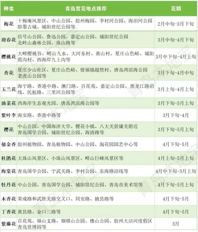 2025青岛春日赏花时间表