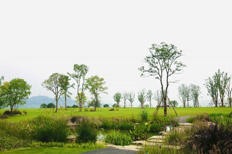 2025重庆广阳岛游玩攻略（开放时间、门票、路线）（5）