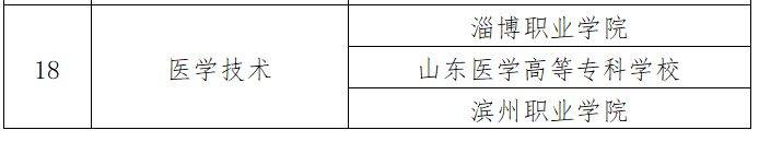 2025年山东省春季高考技能测试各专业类别主考院校安排一览表（2）