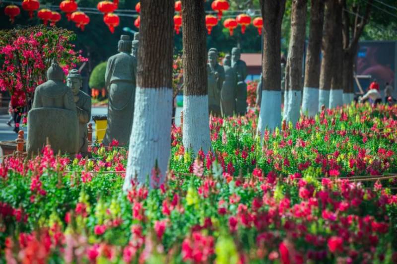 厦门仙岳山公园金鱼草花海打卡指南（时间＋地点＋交通）